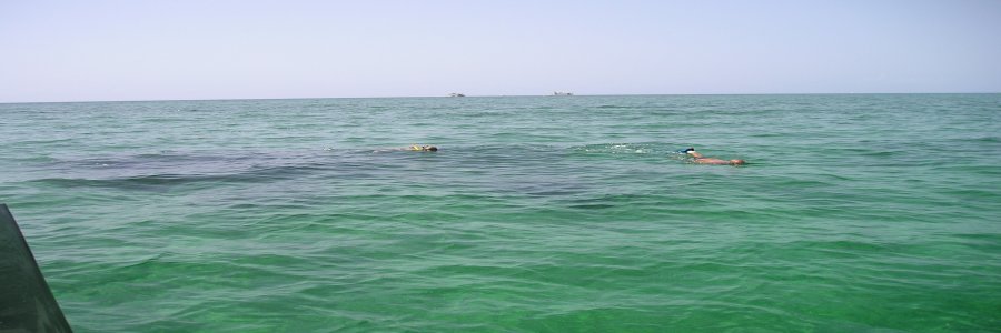 Snorkeling Bahamas, swimming, things to do Bahamas, Snorkeling Bahamas